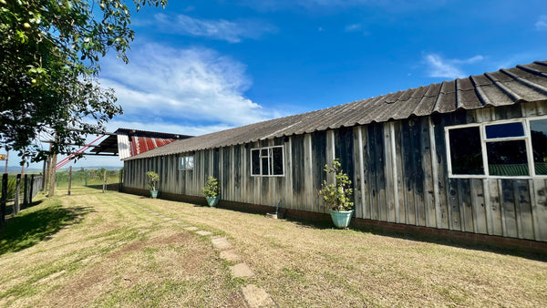 Property 666565 - Image 25