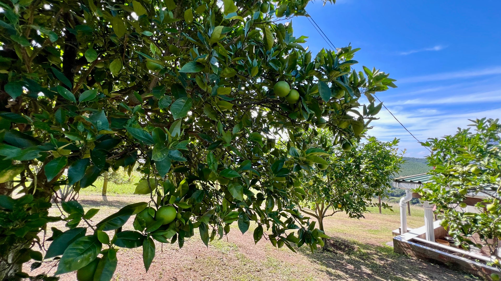 Property 666565 - Image 28