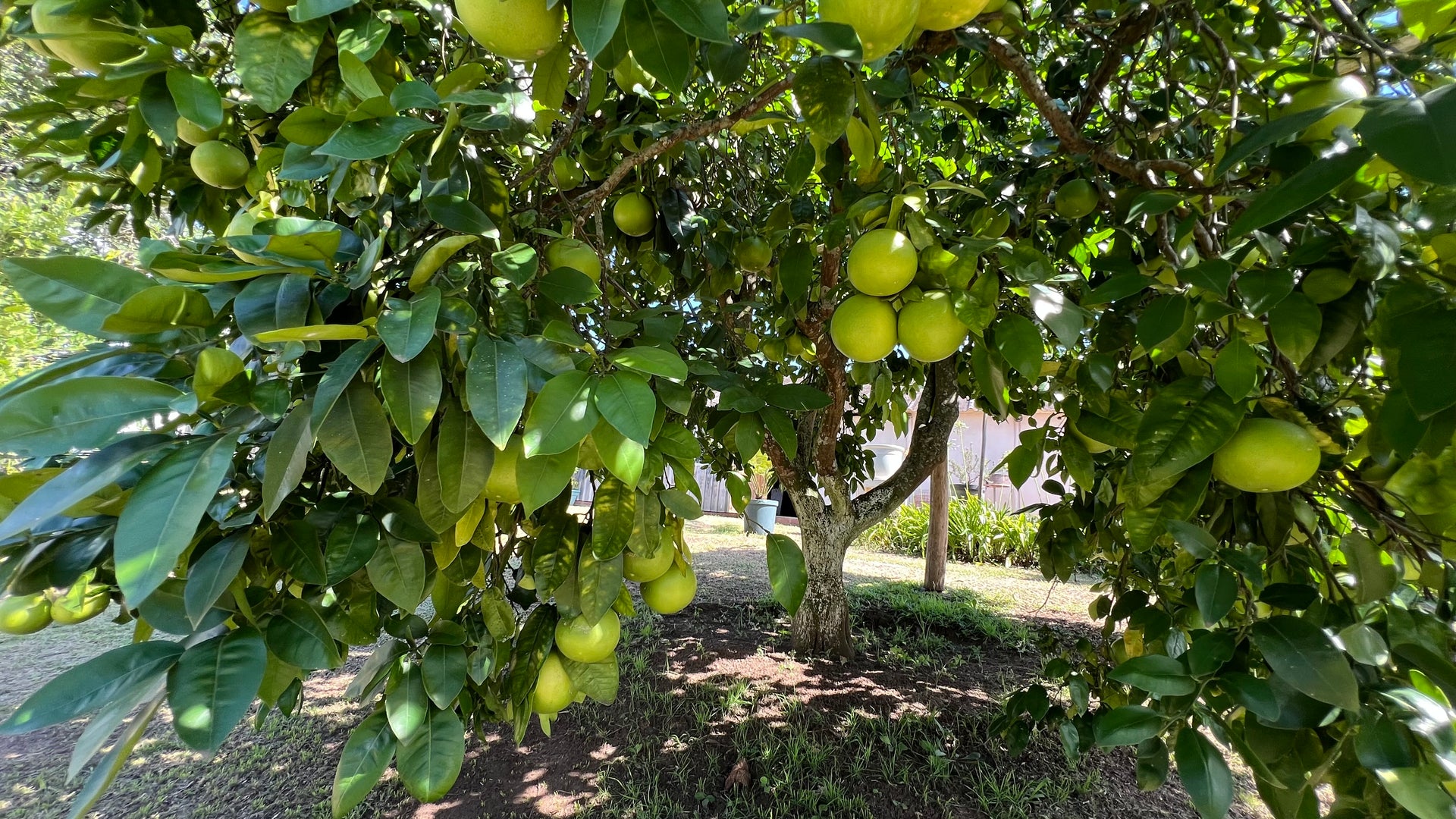 Property 666565 - Image 30