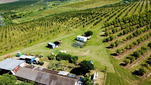 Property 666565 - Image 31