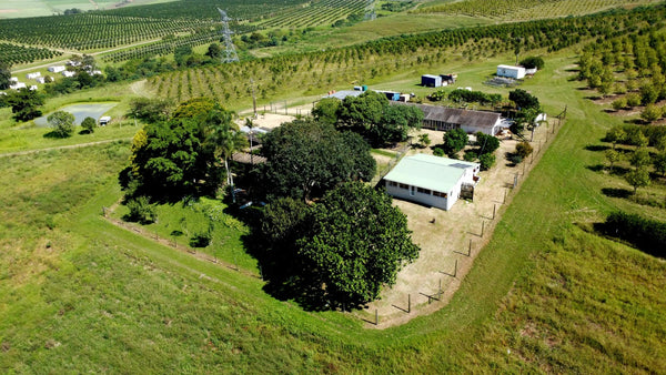 Property 666565 - Image 32