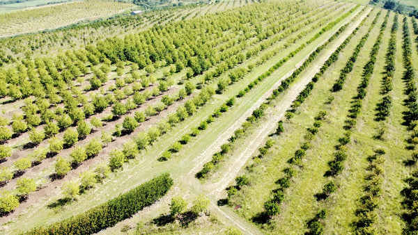 Property 666565 - Image 34