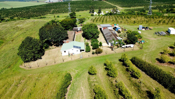 Property 666565 - Image 36