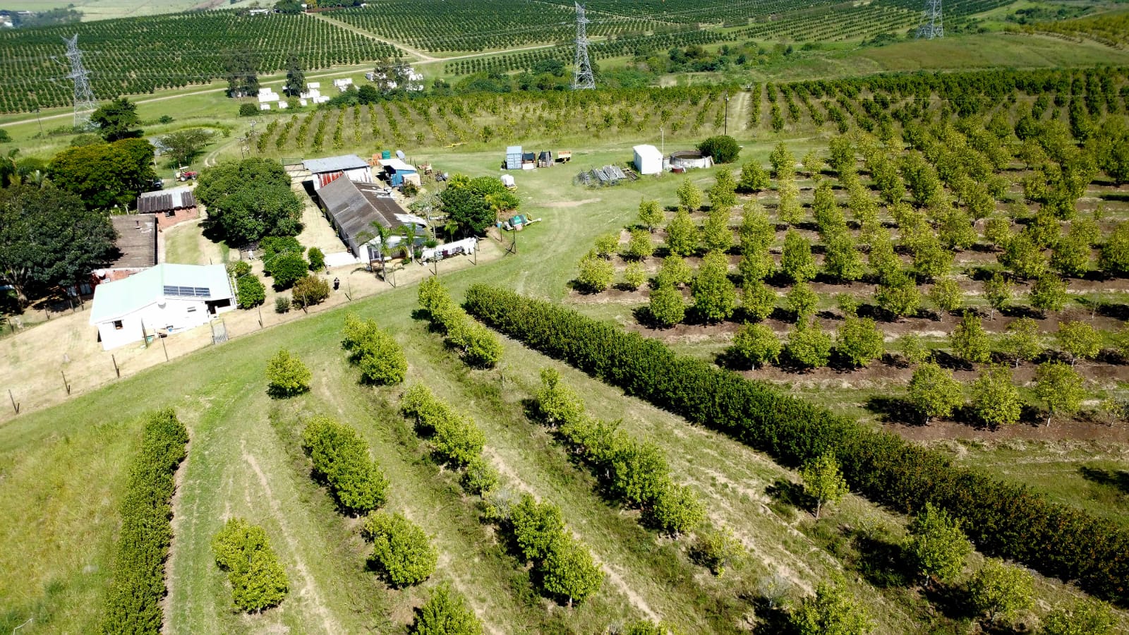 Property 666565 - Image 37