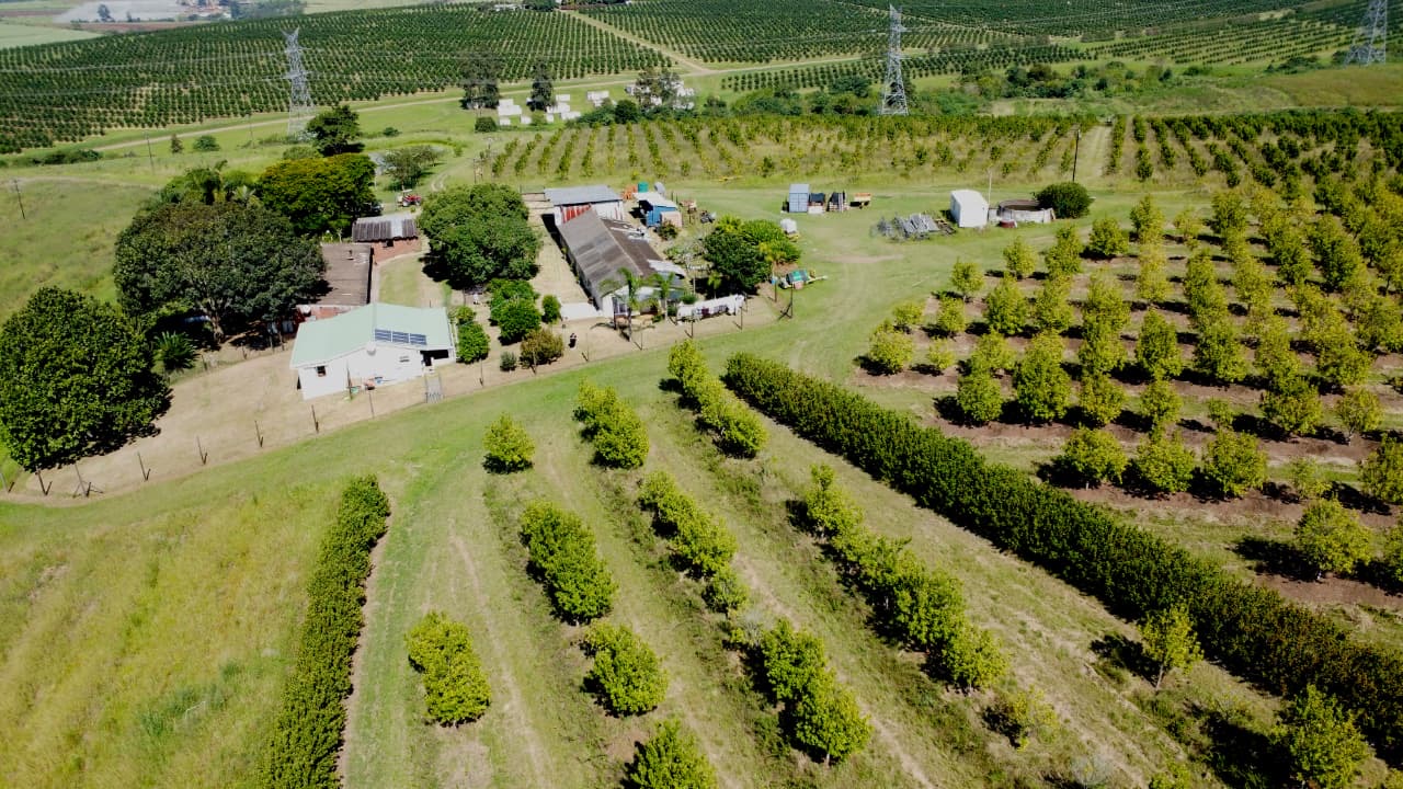 Property 666565 - Image 39