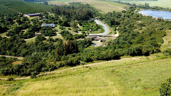 Property 666565 - Image 40