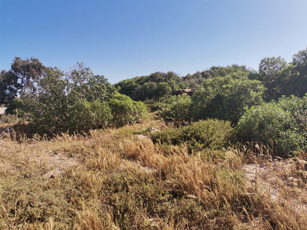 Property 673121 - Image 6