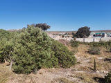 Property 673121 - Image 7