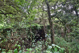 Property 679506 - Image 62