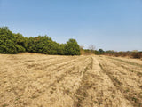 Property 749070 - Image 14