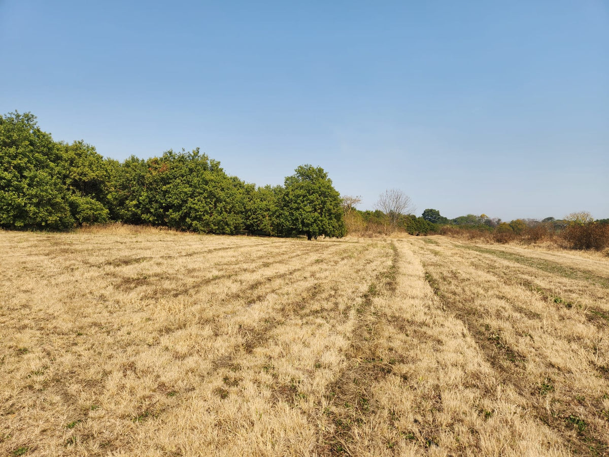 Property 749070 - Image 14