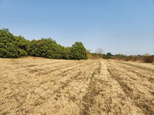 Property 749070 - Image 14