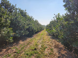 Property 749070 - Image 20