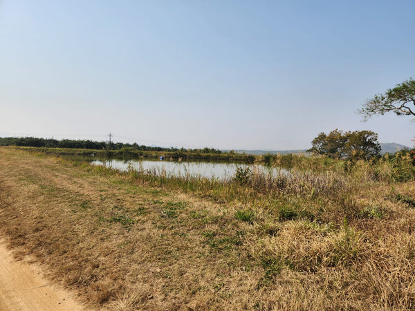 Property 749070 - Image 26