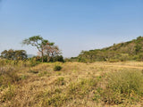 Property 749070 - Image 27