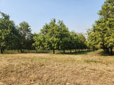 Property 749070 - Image 9