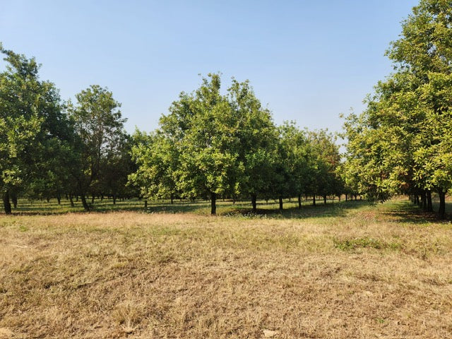 Property 749070 - Image 9