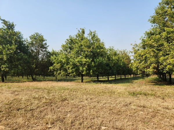 Property 749070 - Image 9