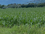 Property 793788 - Image 1