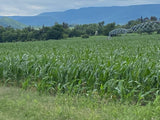 Property 793788 - Image 2