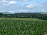Property 793788 - Image 3
