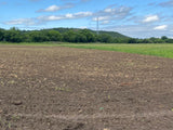 Property 793788 - Image 4
