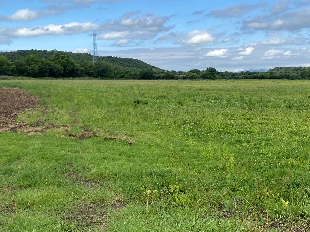 Property 793788 - Image 6
