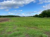 Property 793788 - Image 7