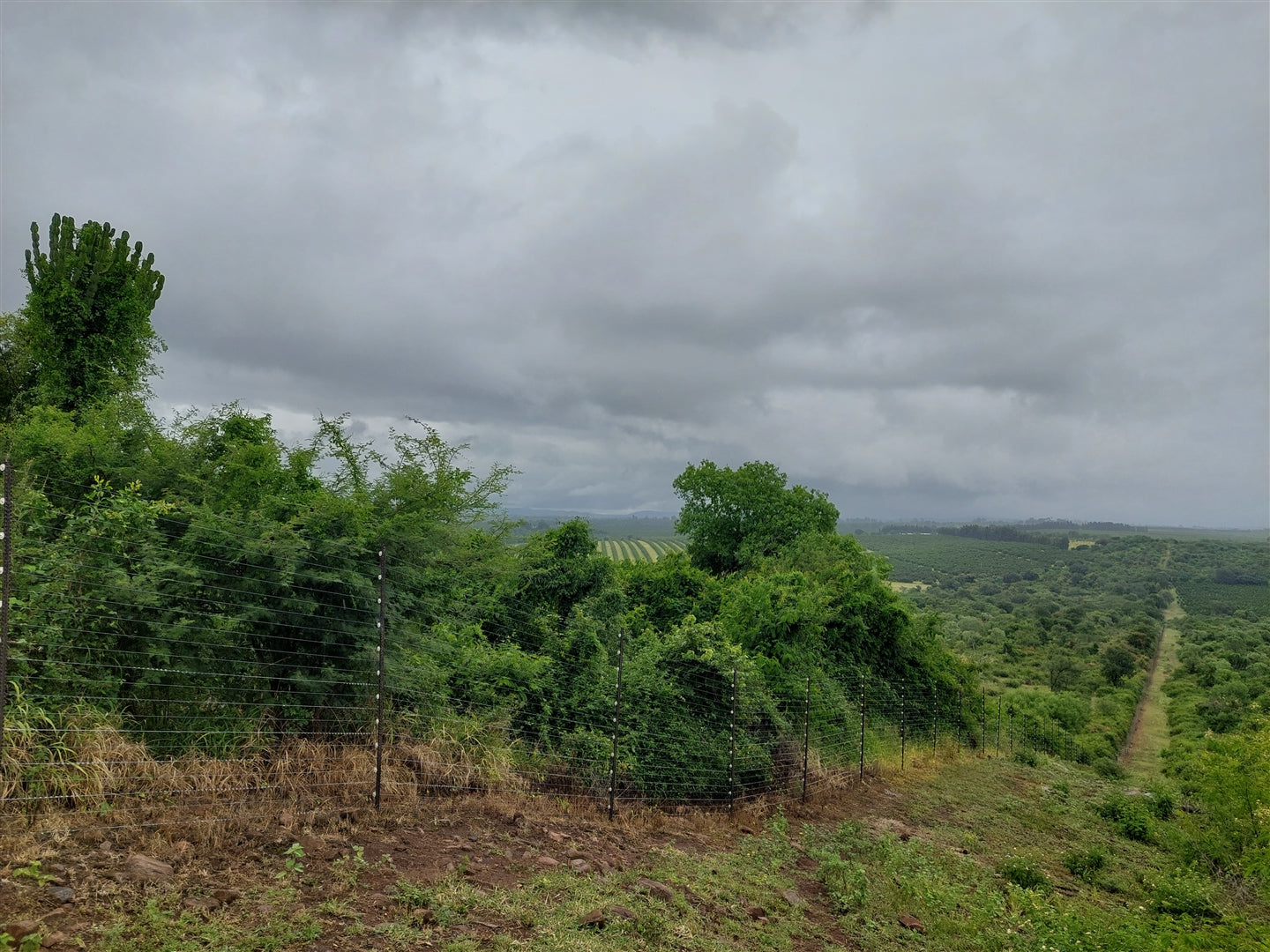 Property 801463 - Image 3