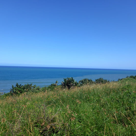 Property 839731 - Image 2