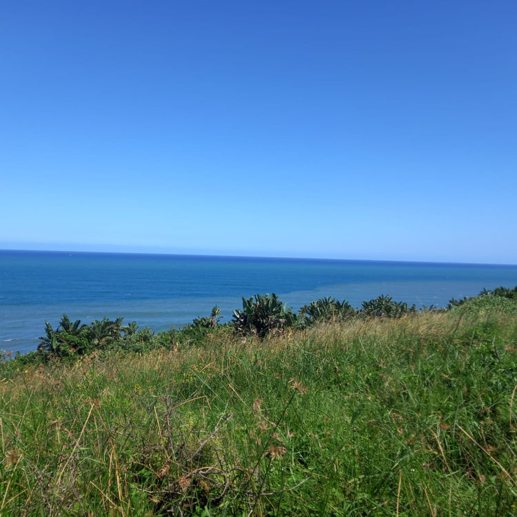 Property 839731 - Image 2