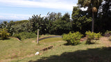 Property 839731 - Image 51