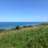 Property 839731 - Image 52