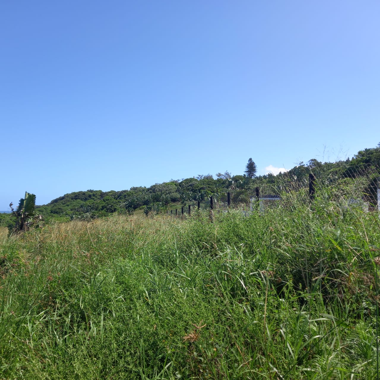 Property 839731 - Image 61