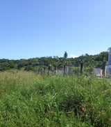 Property 839788 - Image 14