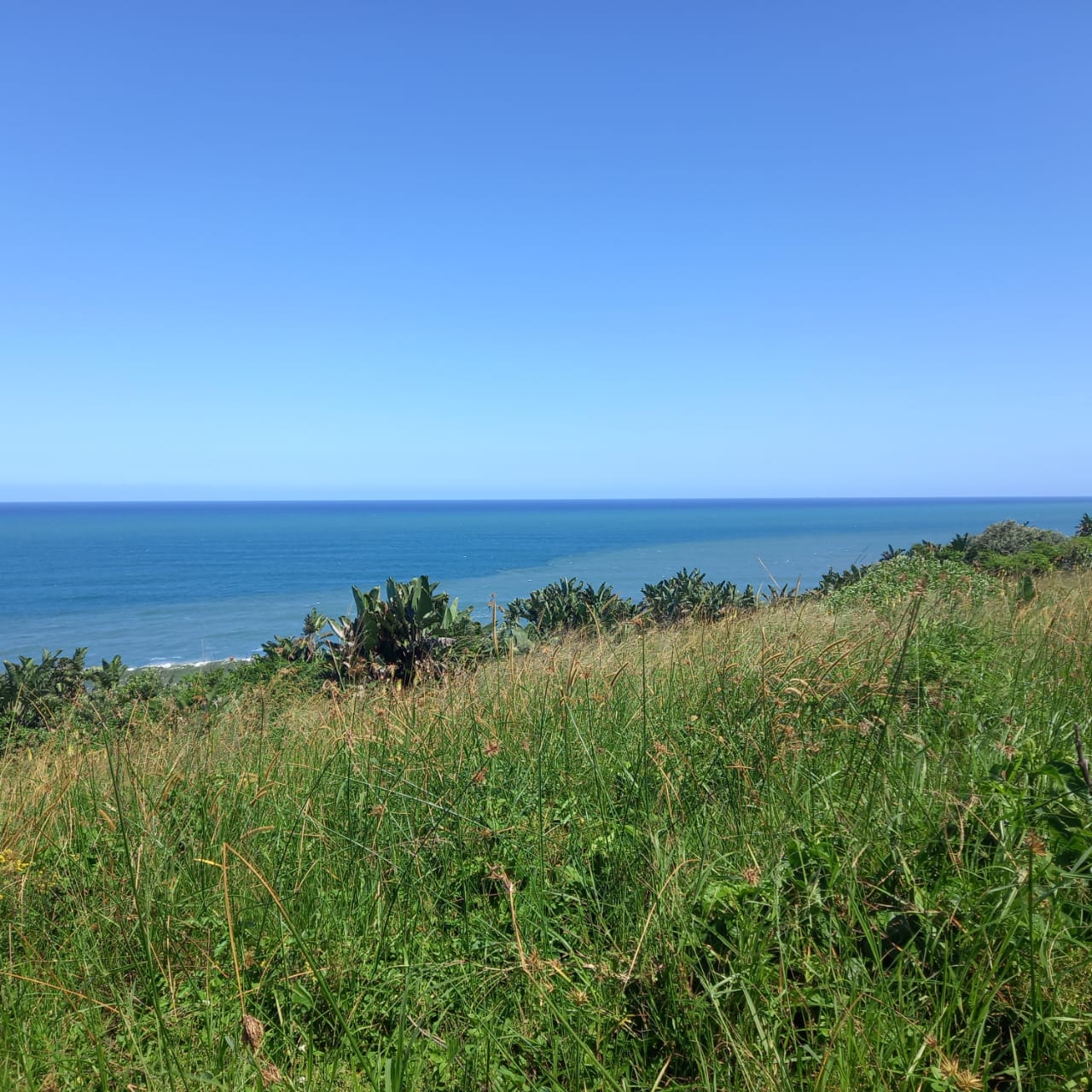 Property 839788 - Image 2