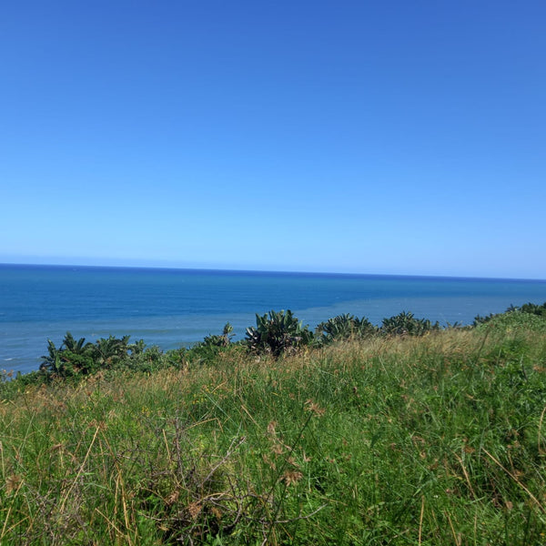 Property 839788 - Image 5