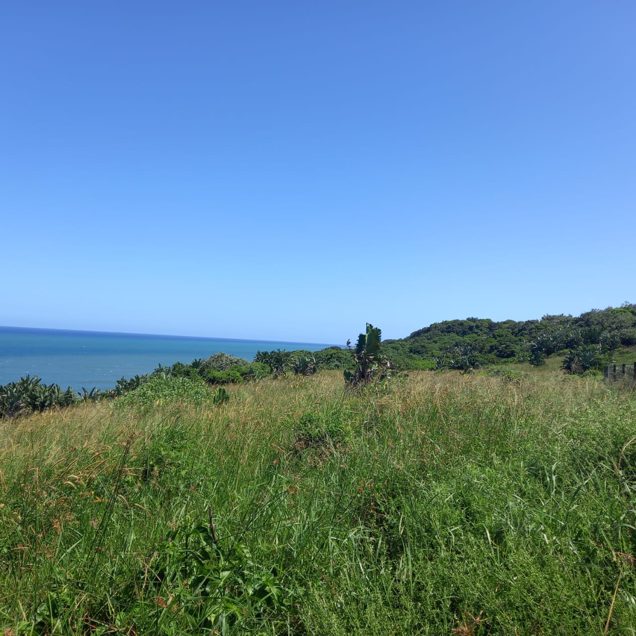Property 839788 - Image 8