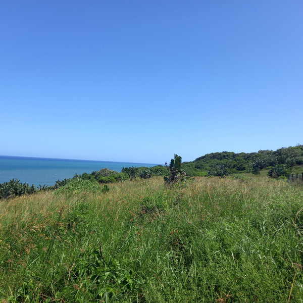 Property 839788 - Image 8